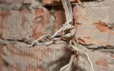 How Do I Know If My Wiring Supports Smart Home Tech?