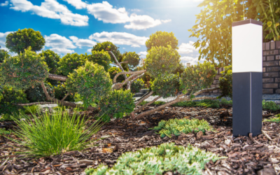 DIY vs. Hiring a Pro for Backyard Lighting